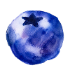 Blaubeere