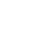 Linienpferd im Galopp