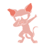 Sphynx