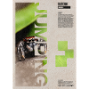 Jumping Spider Modern Art