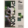 Kunst des Kugelpython-Reptilienhüters