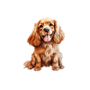 Cocker Spaniel Schlafshirt