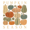 Pumpkin Season - Cozy Kürbis Herbst 