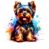 Yorkshire Terrier Geschenk