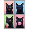 Katzen schwarze Katze