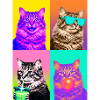 Katzen Graue Tabby Katze