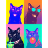Katzen schwarze Katze