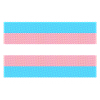 Trans Flagge