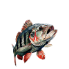 Barsch Flüsterer