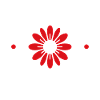 Danke, aber nein danke, Blume
