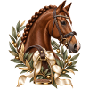 Elegantes Dressurpferd