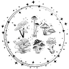Sternenstaub Konstellation