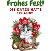 Frohes Fest... Weihnachen mit Katze
