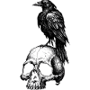 Rabe über Schädel Gothic