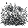 Wildblumen Blumenwiese in Schwarz Weiß