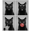 Katzen schwarze Katze