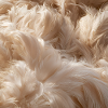 Flauschige beige Federn