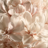 Pastellblütenblätter rosa cremefarben