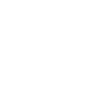 Tannenzapfen Zweig