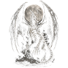 Skelett Drache Fantasy