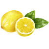 Lemon Duo – Frisches Zitrus‑Design