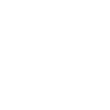 Border Collie Kopf Portrait