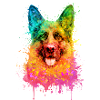 German Shepherd Aquarell Illustration