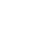 Mops Kopf Portrait