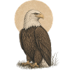Adler