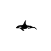 Orca Herzschlag EKG
