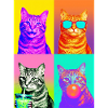 Katzen Graue Tabby Katze
