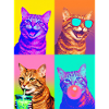Katzen orange Tabby Katze
