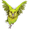 Kakapo Vogel aus Neuseeland