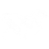 Keltisches Pferd (Weiß)
