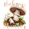 Pilz Champignon
