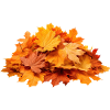 Autumn Leaves – Warmes Herbst‑Design
