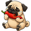 Mops Chili Scharf Lustiger Cartoon