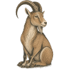 Steinbock