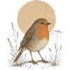 Rotkehlchen