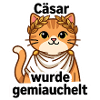 Geschichtslehrer Cäsar Katze - Historiker Geschenk