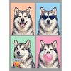 Hunde Alaskan Malamute Hund