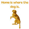 Goldglitzer Hund: Home is 