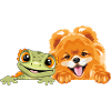 Peeking_Pomeranian_dog_and_funny_smiling_gecko