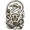 Herpetologie Herpetologe