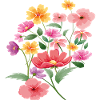 Blütenpracht Flora