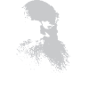 Peter Kropotkin, revolutionärer Denker, Silhouette