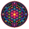Psy Circle Neon Mandala