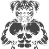 Boxer