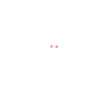Weiße Nachteule
