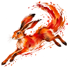 Feuerhase Sprinter
